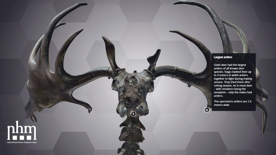 Vienna Giant Deer
