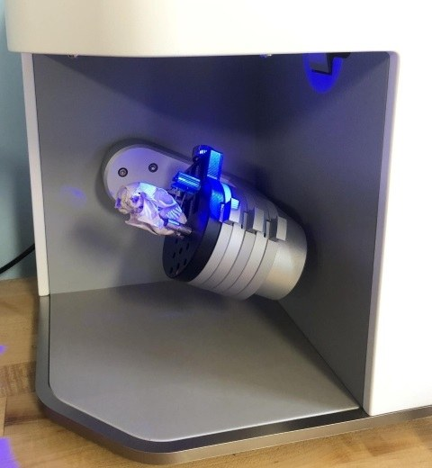 Artec Micro數分鐘完成松鼠頭骨的3D彩色亞毫米級捕獲